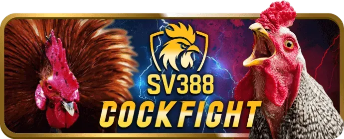 Chương trình VIP mv66 chính thức